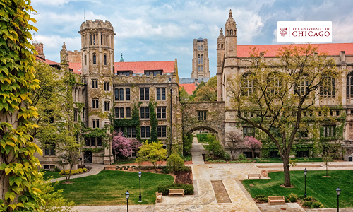 University of Chicago - Rank 11