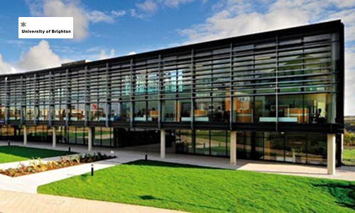 Brighton University