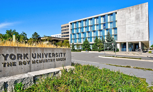York University